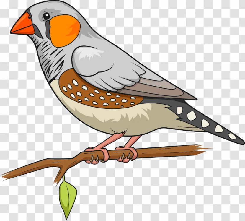 Bird Zebra Finch The Greatest Dot-To-Dot Adventure Book 2 Connect Dots - Vector Colored Parrot Transparent PNG