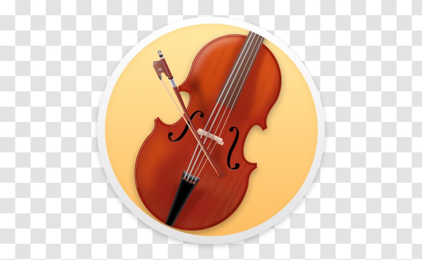 Bass Violin Violone Viola Double - Family Transparent PNG