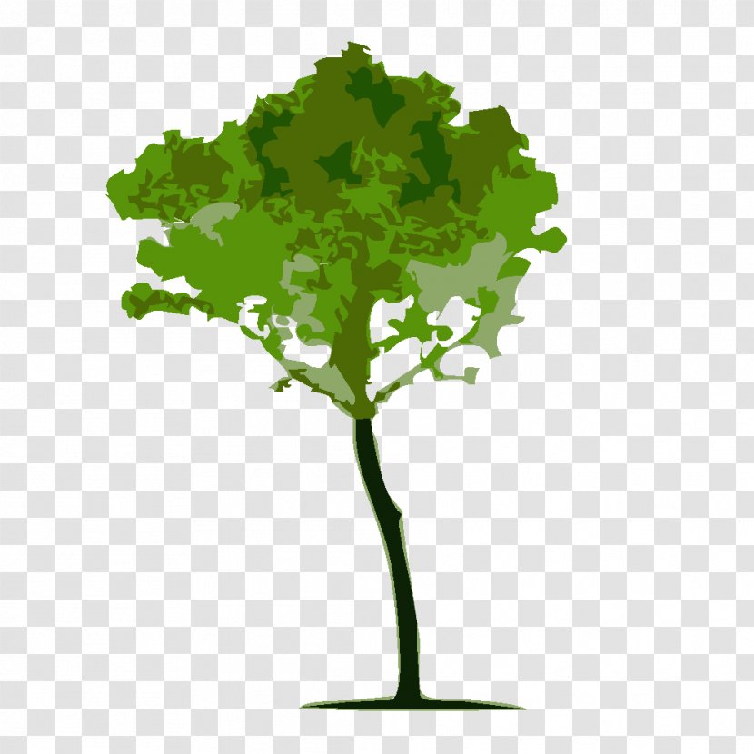 Tree Calliandra Brevipes Arbor Day - Woody Plant Transparent PNG