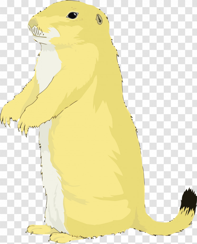 Gopher Yellow Cartoon Prairie Dog Adaptation Transparent PNG