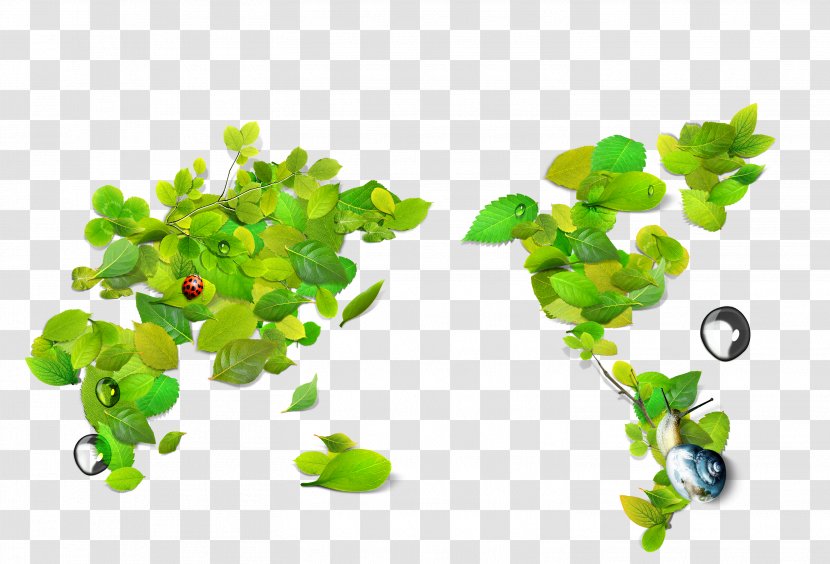 Green Poster Leaf World Map - Leaves And Ladybug Transparent PNG
