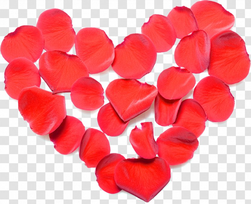 Valentine's Day Heart Love Gift Clip Art - February 14 - Petals Transparent PNG