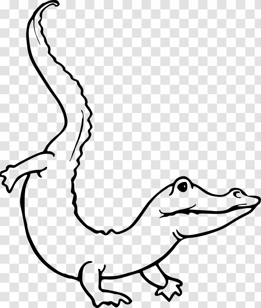 Crocodile Alligator Drawing Clip Art - Color Transparent PNG