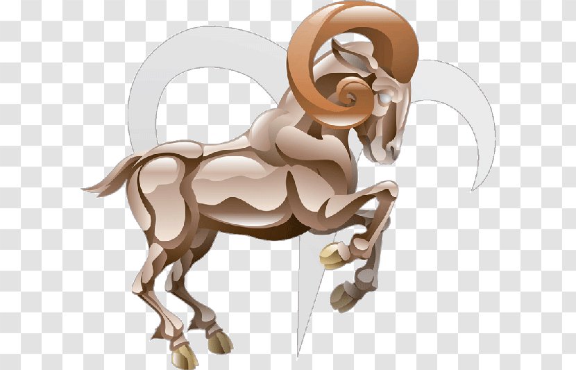 Sheep Aries Astrological Sign Zodiac Astrology - Cow Goat Family Transparent PNG