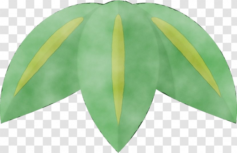 Leaf Green Yellow Plant Tree - Flower - Anthurium Transparent PNG