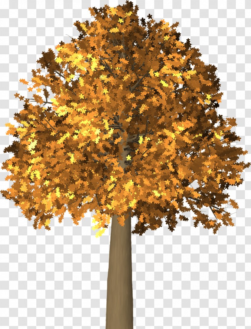 Autumn Leaf Color Tree Clip Art - Yellow Transparent PNG
