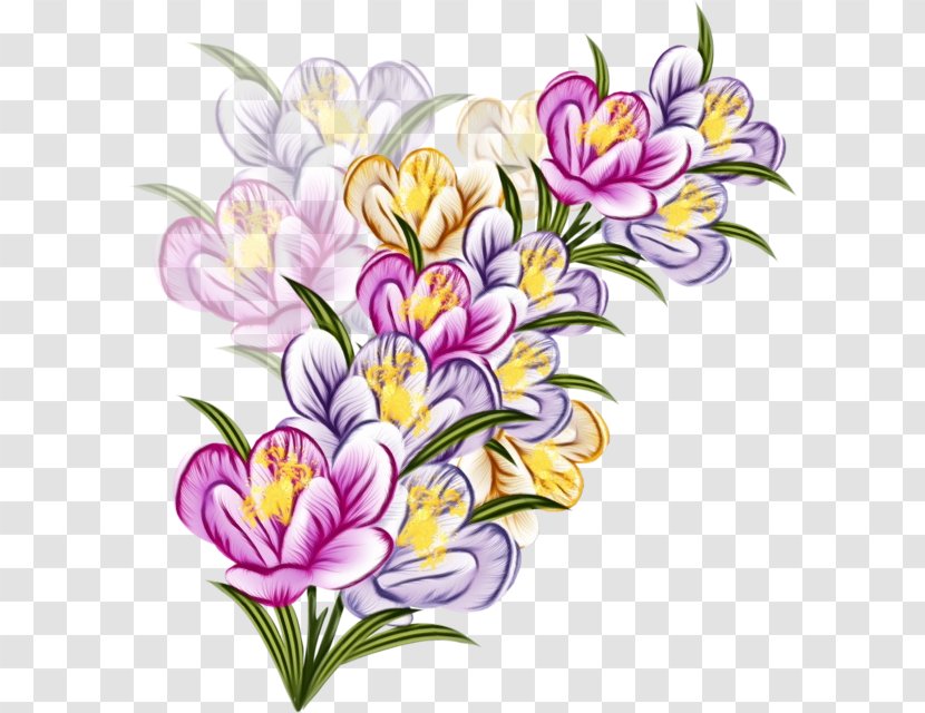 Bouquet Of Flowers Drawing - Canvas - Wildflower Iris Family Transparent PNG