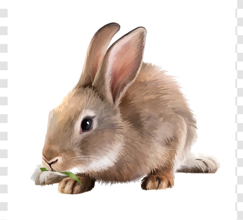 White Rabbit Mountain Hare Running - Rabits And Hares - 3d Dog Transparent PNG
