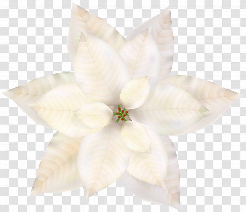 Petal - Flower - Christmas White Poinsettia Clip Art Transparent PNG