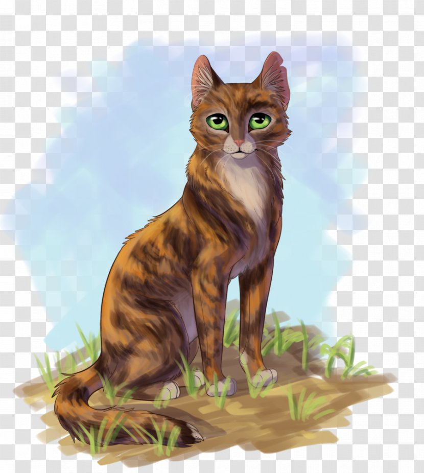 Tawnypelt Cat Rising Storm Brambleclaw Tigerstar - Drawing Transparent PNG