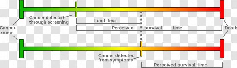 Lead Time Bias Length Screening Medical Diagnosis - Parallel - Definition Transparent PNG