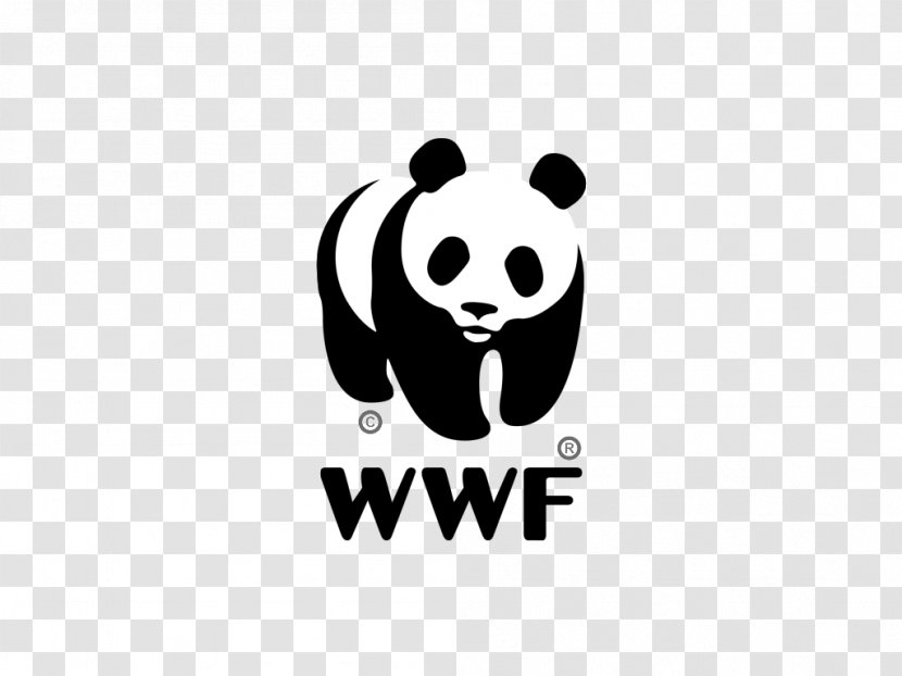 Giant Panda World Wide Fund For Nature International WWF-Australia Endangered Species - Charitable Organization - 5 Examples Of Transparent PNG