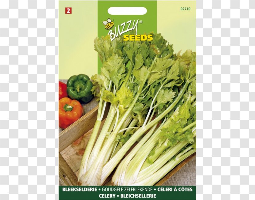 Chard Vegetarian Cuisine Grow Box Rapini Celery - Fennel - Leek Transparent PNG