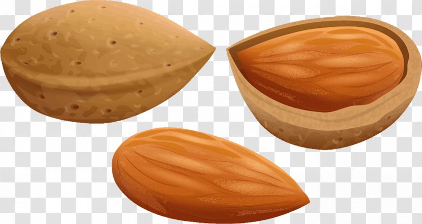 Almond Oil Praline Nut Food - Art Transparent PNG