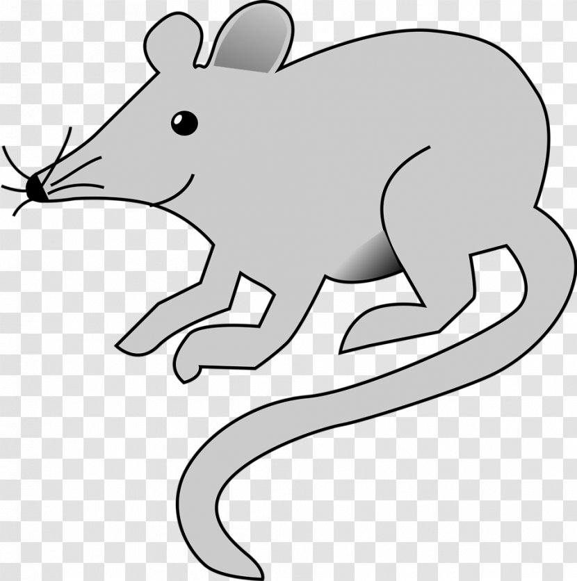 Rat Mouse Clip Art - Snout - Fleas Transparent PNG