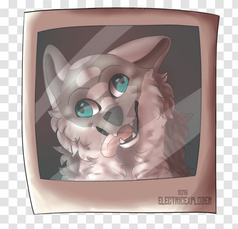 Whiskers Cat Dog Snout Canidae - Cartoon Transparent PNG