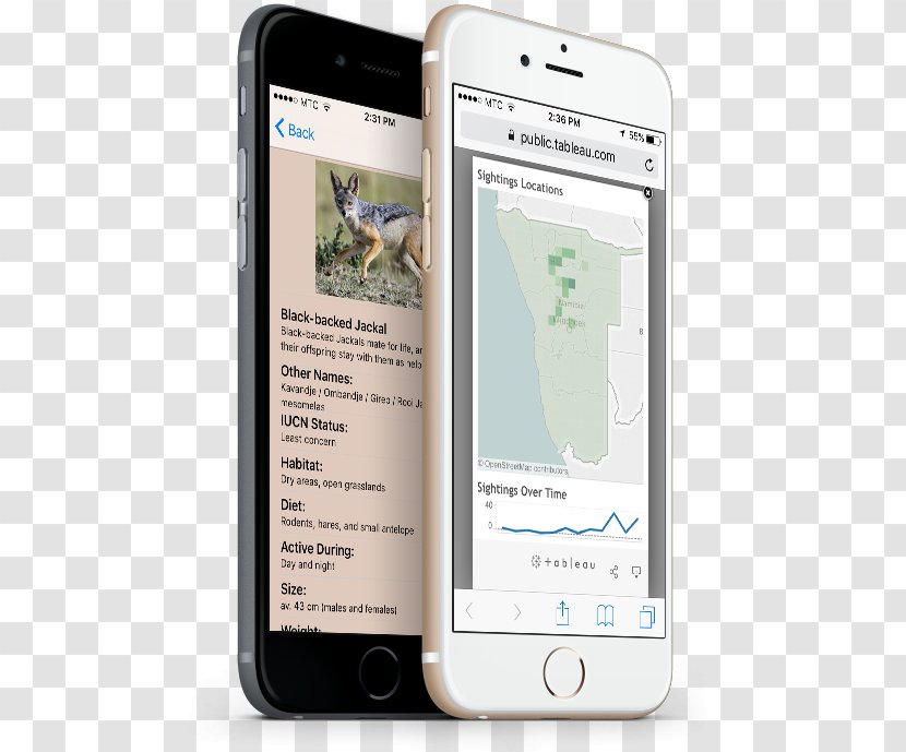 Smartphone Digital Marketing Advertising Agency - Multimedia - Cheetah Conservation Fund Transparent PNG