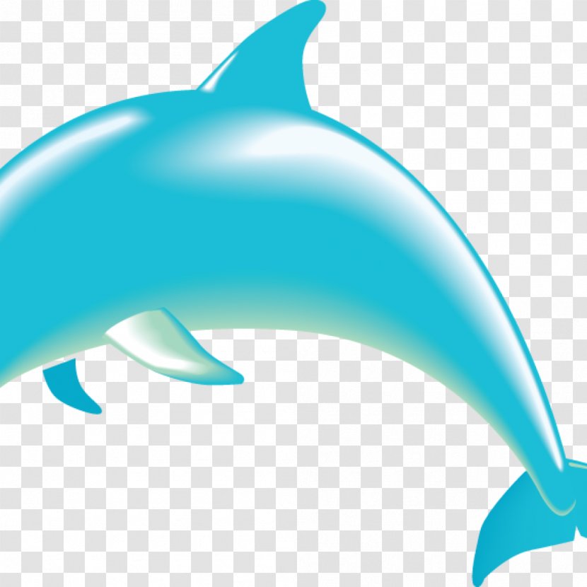 Dolphin Clip Art Vector Graphics Drawing Tucuxi - Roughtoothed - Clipartimage Transparent PNG