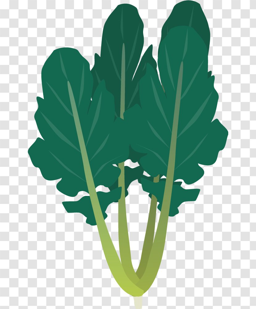 Daikon Leaf Vegetable Carrot - Hand-painted Radish Transparent PNG