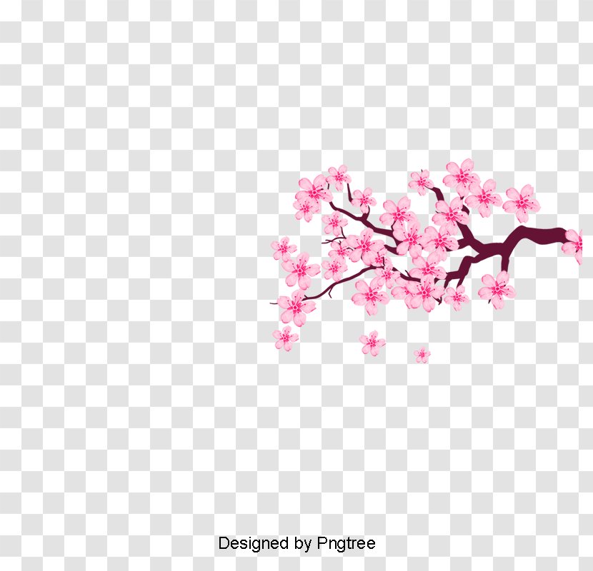 Cherry Blossom Vector Graphics Clip Art - Flower Transparent PNG