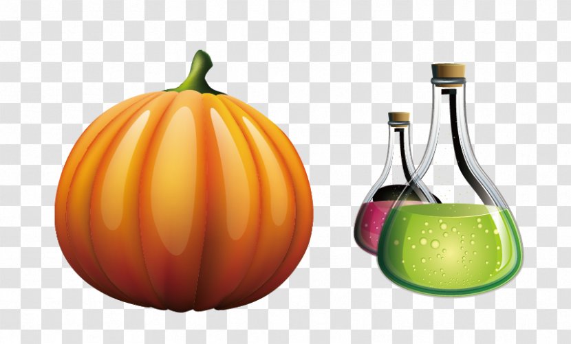 Great Pumpkin Calabaza - Fruit - Vector Transparent PNG