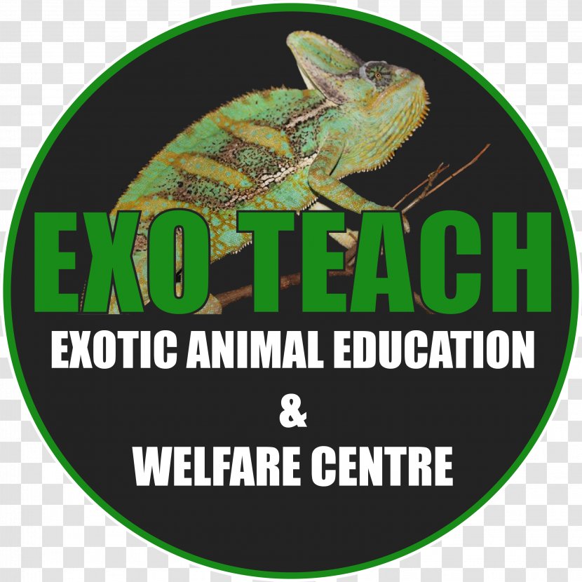 EXO TEACH Education Exotic Pet Animal Veterinarian Non-profit Organisation - Management - Welfare Transparent PNG