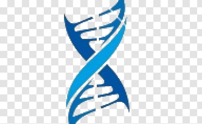 DNA Nucleic Acid Double Helix Logo Medicine - Dna Paternity Testing - Molecules Transparent PNG