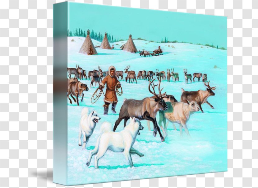 Reindeer Samoyed Dog Gallery Wrap Antler Canvas - Art Transparent PNG