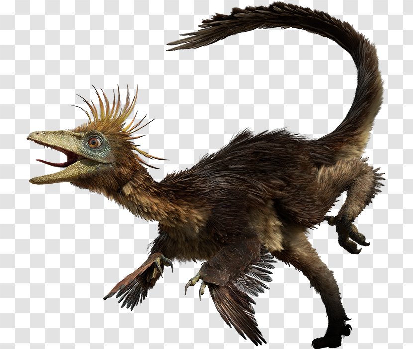 Troodon Late Cretaceous Tyrannosaurus Hesperonychus Dromaeosaurus - Period - Bird Transparent PNG