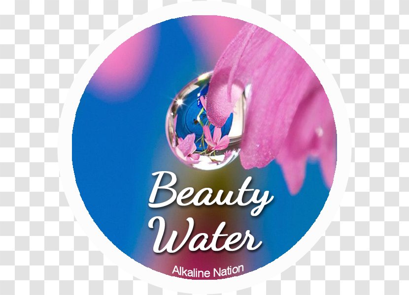 Life Happiness Greeting - Logo - Beautiful Drops Of Water Transparent PNG