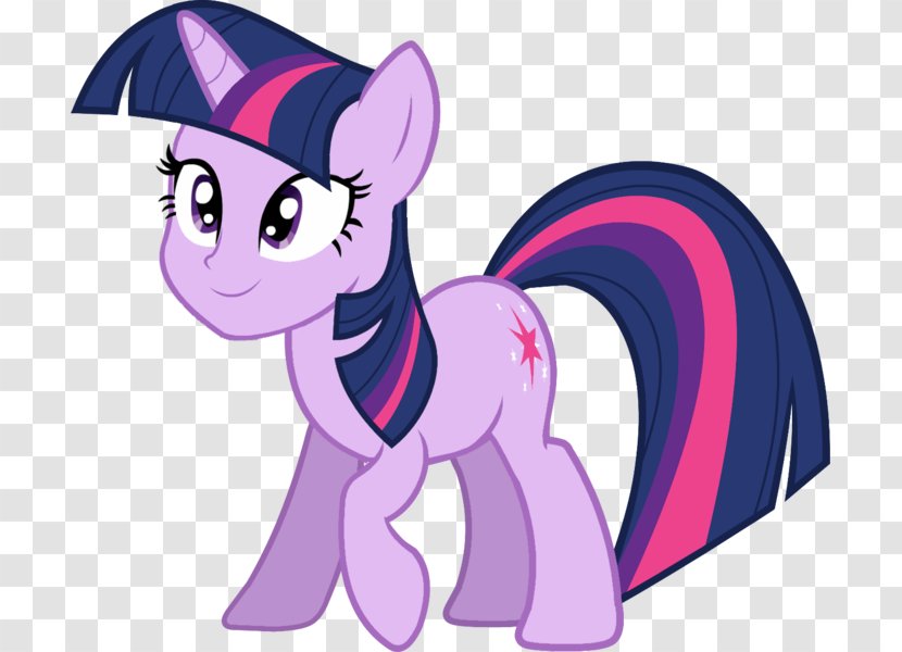 Twilight Sparkle Pinkie Pie Pony Rainbow Dash Rarity - Flower - Litle Transparent PNG