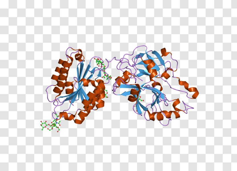 Complement Component 2 System Classical Pathway Gene Protein - Art Transparent PNG