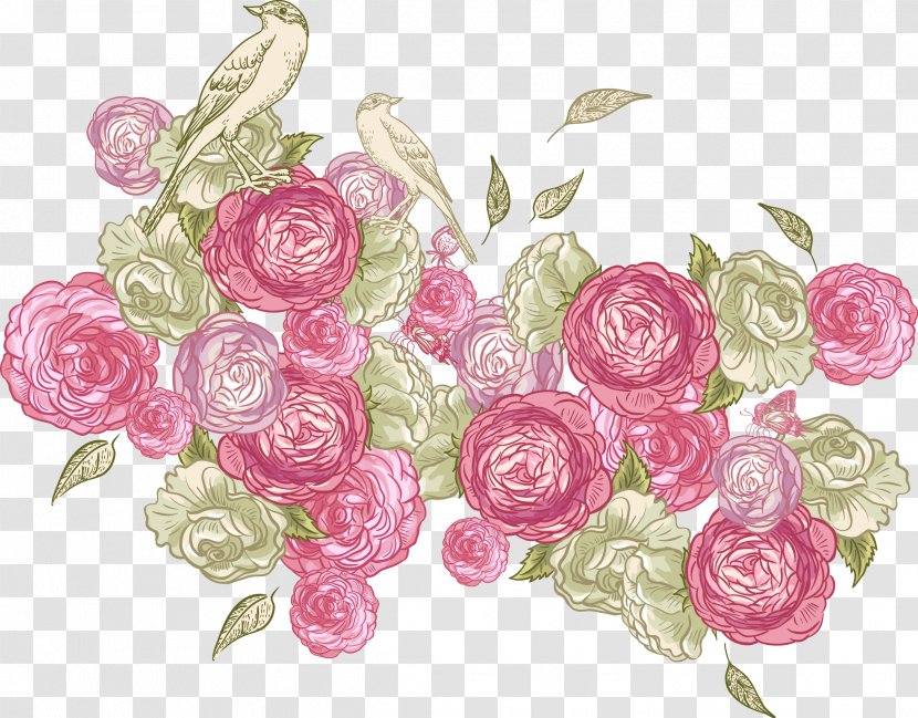 Rose Color Photography Illustration - Flower Arranging - Vector Diagram Transparent PNG