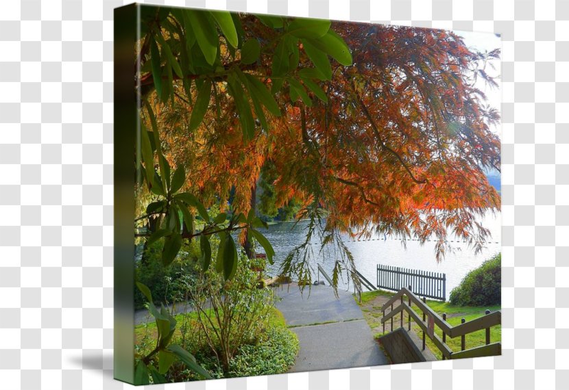Landscape Nature Branching - Branch - Autumn Posters Transparent PNG