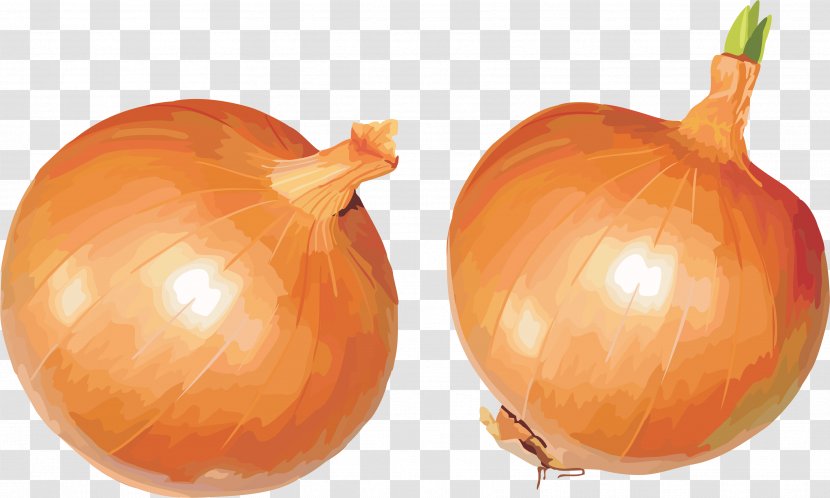 Yellow Onion Shallot Calabaza Vegetarian Cuisine Pumpkin - Food - Image Transparent PNG