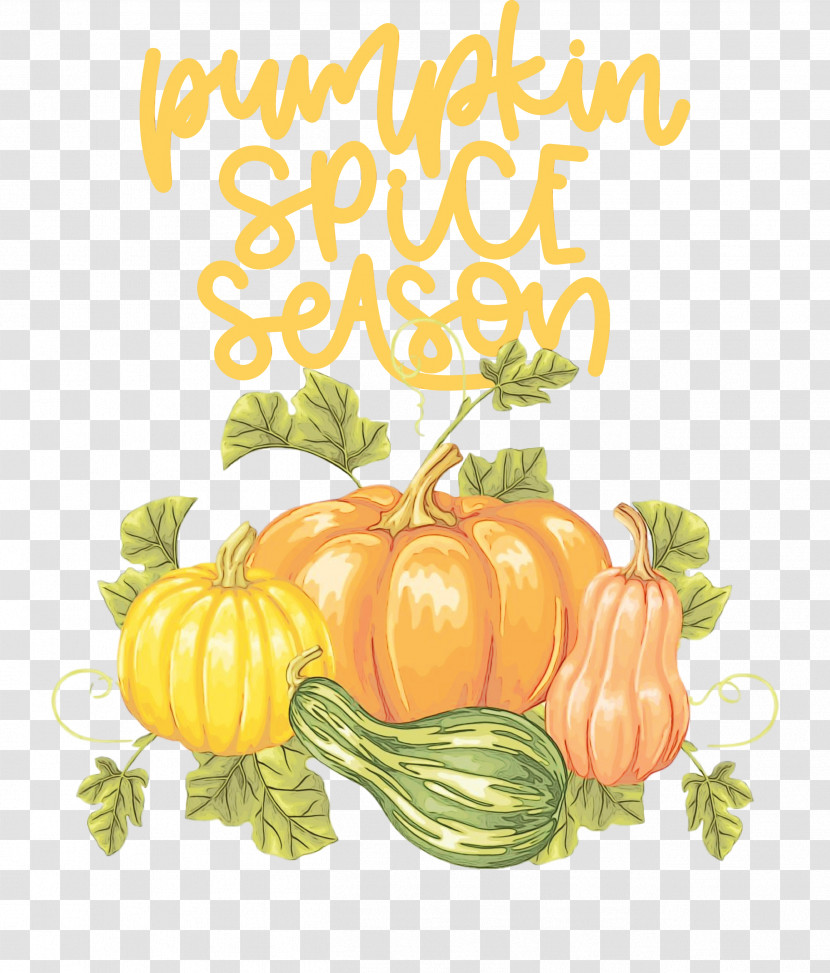 Pumpkin Transparent PNG