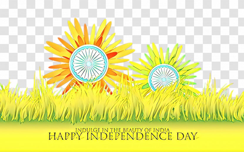 India Independence Day Poster Background - August 15 - Meadow Flower Transparent PNG