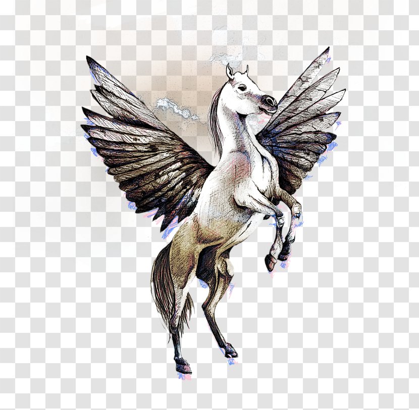 Pegasus Horse Drawing - Unicorn Transparent PNG