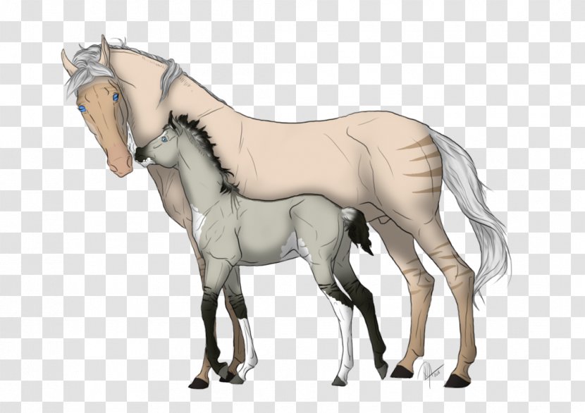 Foal Stallion Mare Colt Halter - Horse Like Mammal - Mustang Transparent PNG