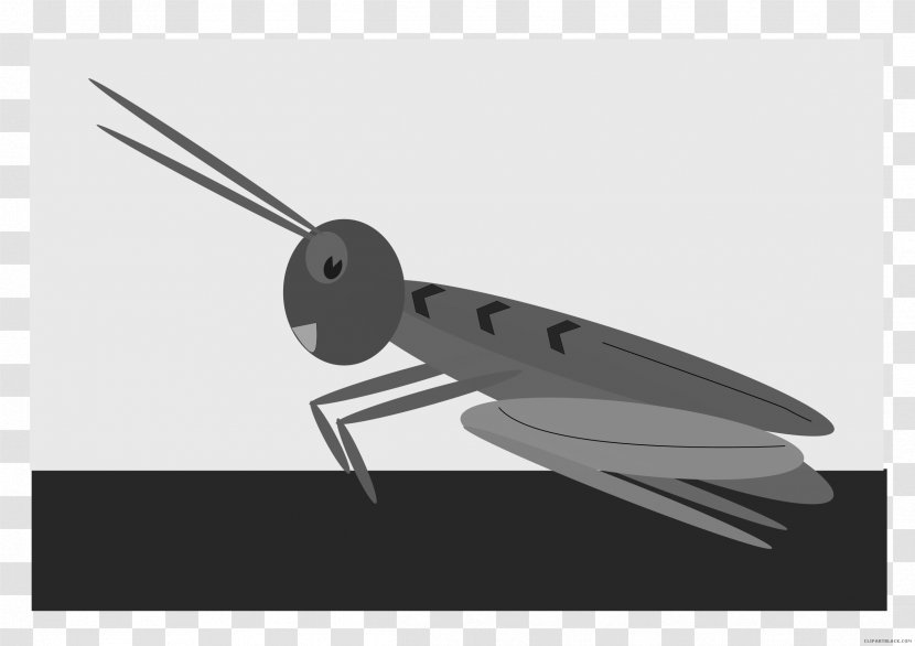 Jiminy Cricket Crickets Chirping Sound Effect - Insect Transparent PNG
