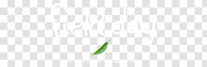 Leaf Close-up Plant Stem Sky Plc Font - Field Day Transparent PNG