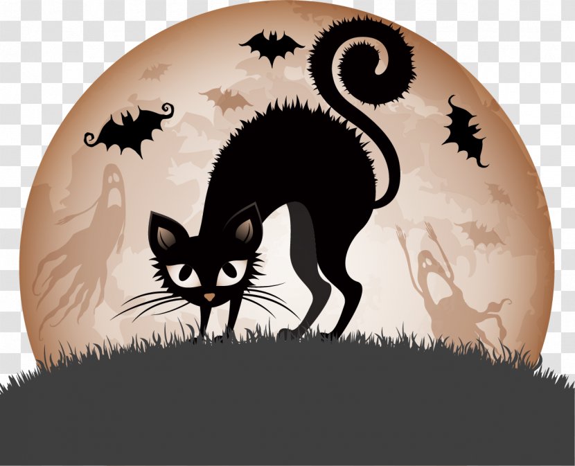 Halloween Clip Art 31 October Illustration Black Cat - Fauna - Wicca Transparent PNG