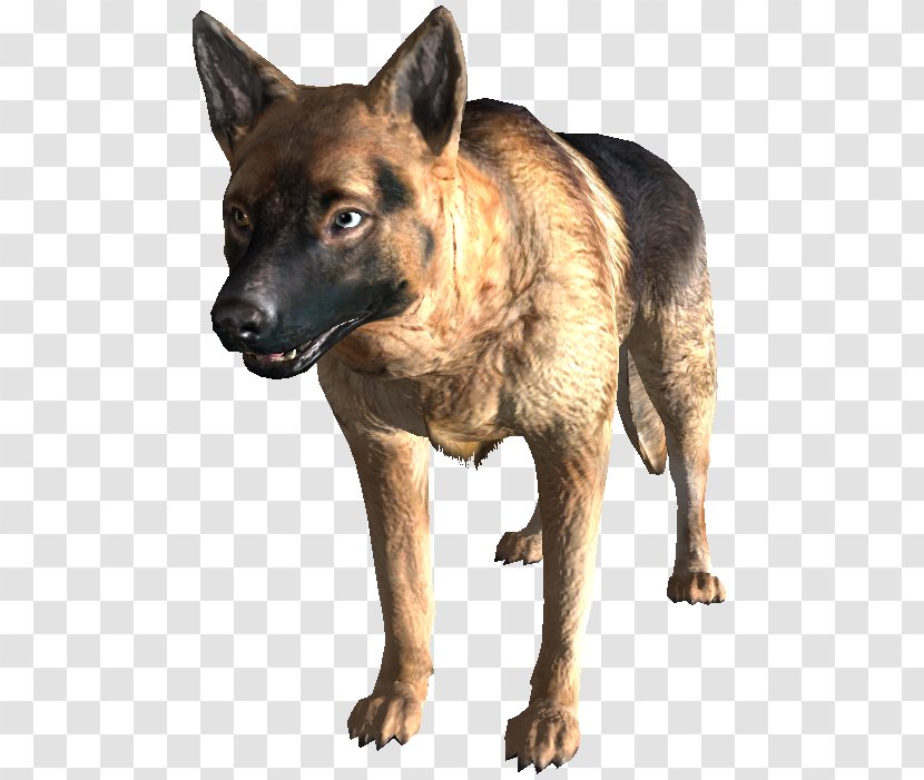 Dog Breed Fallout 3 4 Fallout: New Vegas Kunming Wolfdog - Xbox 360 Transparent PNG