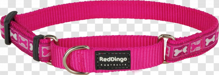 Dog Collar Martingale Dingo - Pink - Red Transparent PNG
