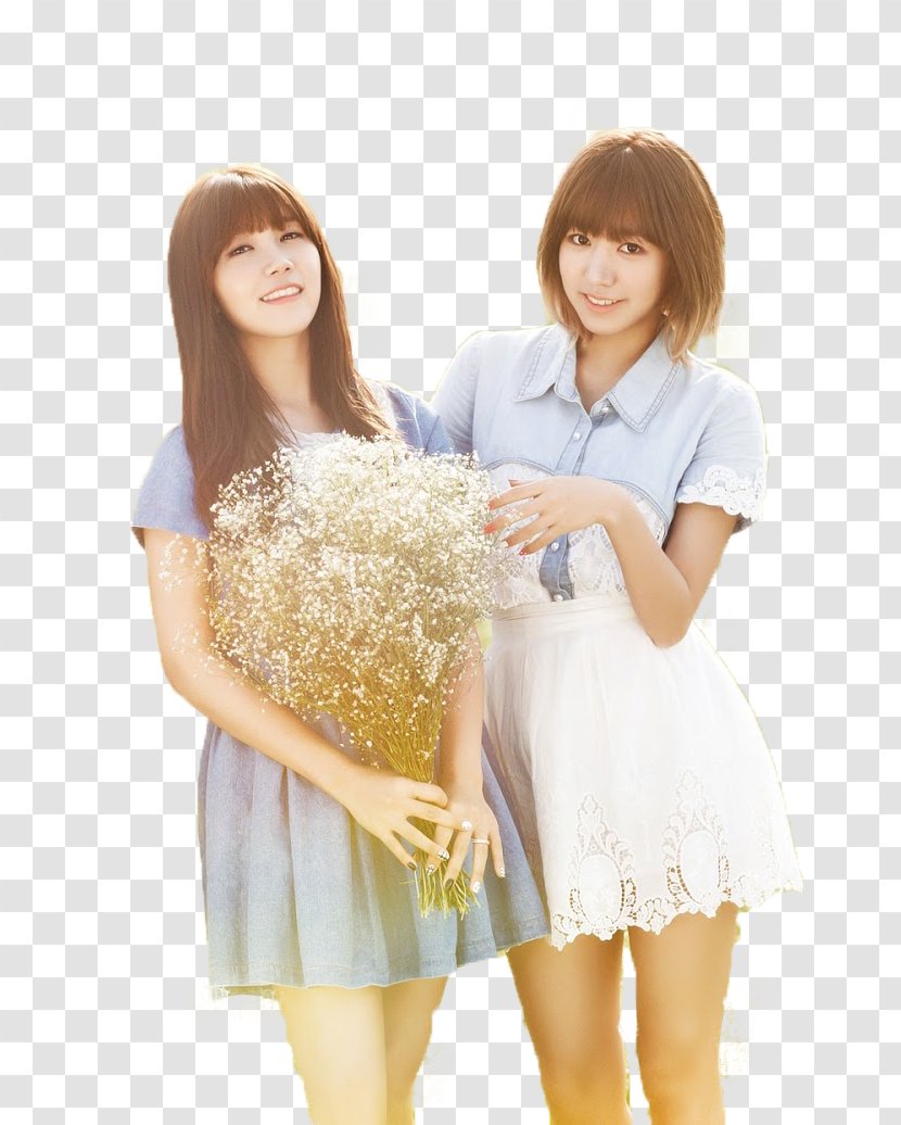 Jung Eun-ji Kim Nam-joo Apink Secret Garden - Flower - Heart Transparent PNG