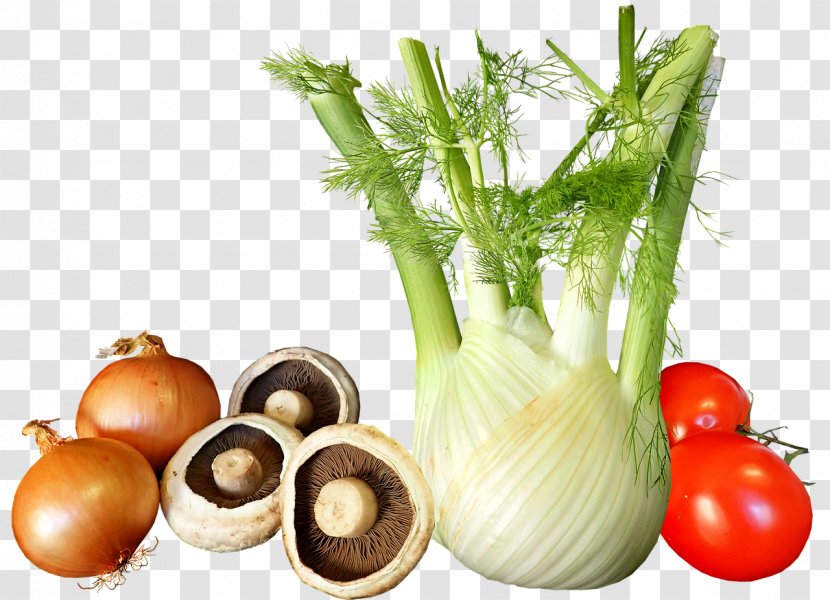 Fennel Vegetable Food Herb Salad - Ingredient - Rezene Transparent PNG