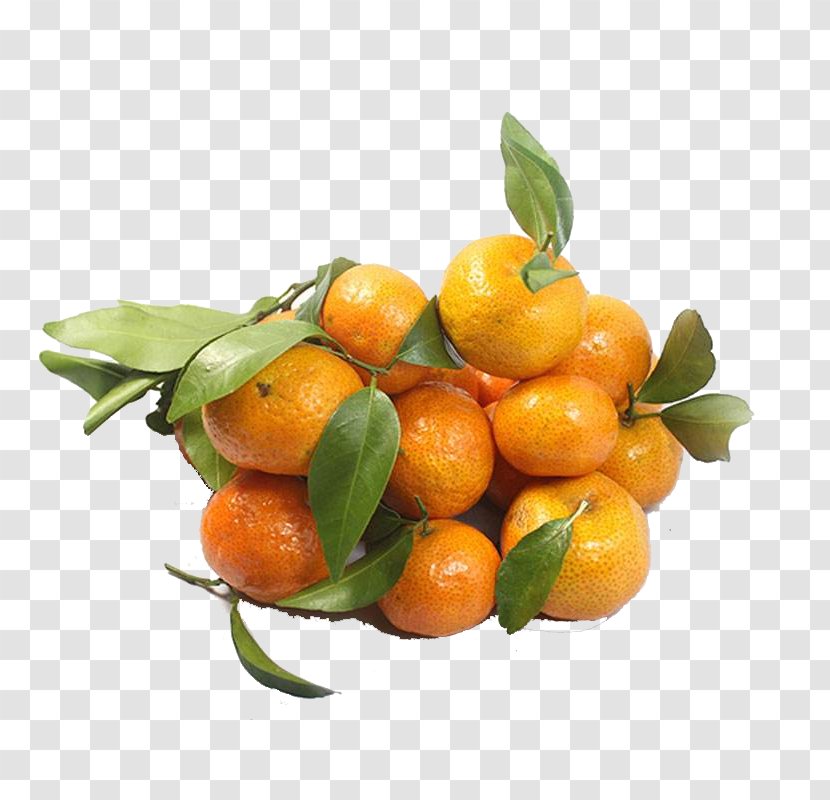 Clementine Mandarin Orange U6c99u7cd6u6a58 Sugar Auglis - Rangpur - Sand Candy Picture Transparent PNG