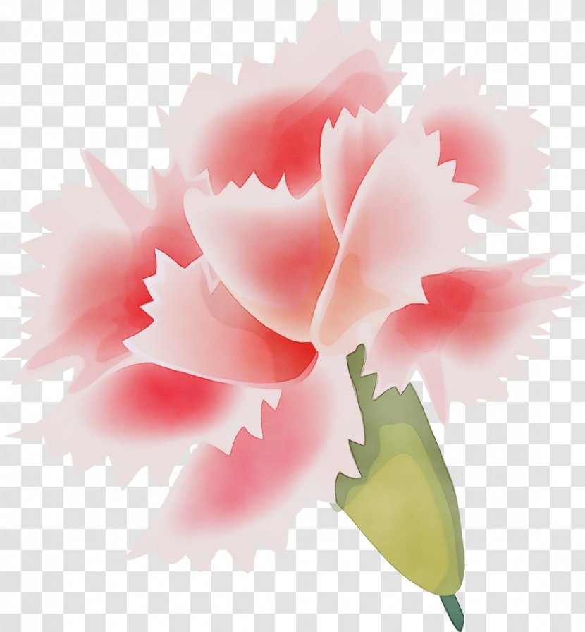 Flowering Plant Flower Pink Petal - Watercolor - Peony Cut Flowers Transparent PNG