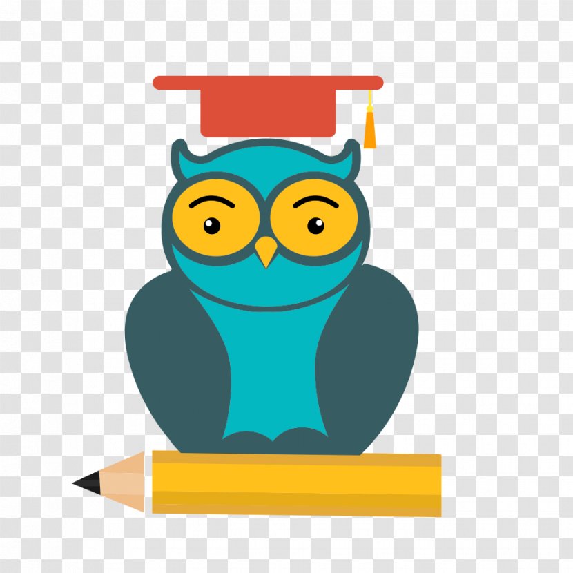 Institution Student Early Childhood Education School - Primary - Dr. Owl Transparent PNG