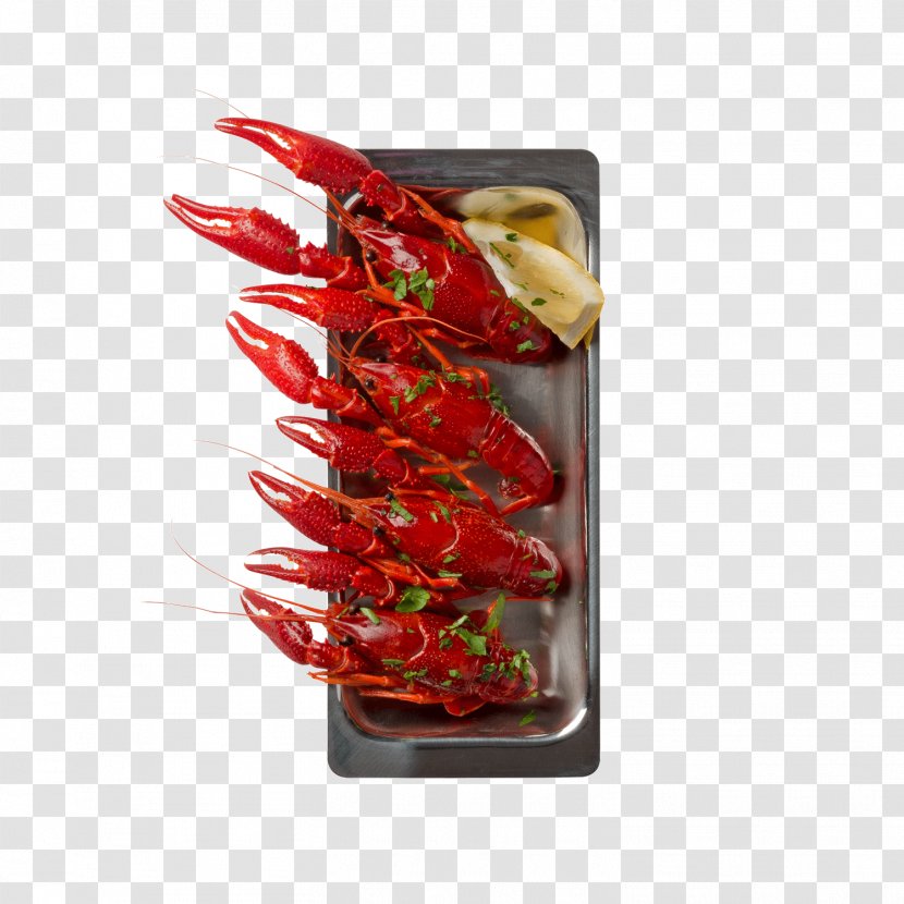 Lobster Congee Seafood Cantonese Cuisine - Red Transparent PNG